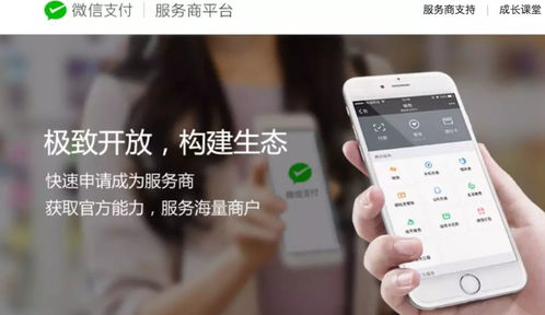 江蘇中理網(wǎng)絡(luò)科技 服務(wù)商定位、準(zhǔn)入路徑與網(wǎng)絡(luò)技術(shù)服務(wù)解析